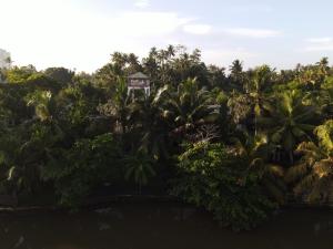 Pelli Riverine