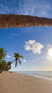 Studio Beira Mar de Tatuamunha, Rota dos Milagres