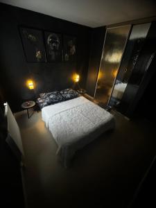 Appartements Appartement Spa complet pour un sejour parfait : photos des chambres