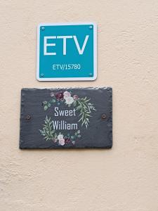 Sweet William