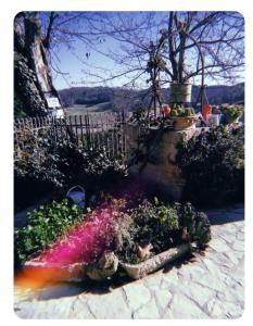 La Casina di Ancicucco 1