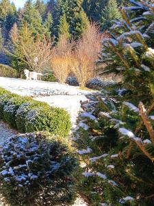 B&B / Chambres d'hotes L'Eden de Floridylle : photos des chambres