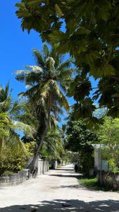Saima Lodge
