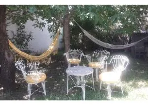 Mis helechos - Taninga