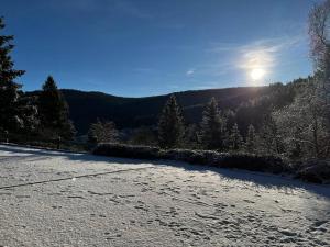 Chalets Chalet Pura Vida - En pleine nature, tout confort : photos des chambres