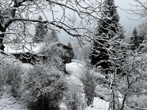 Chalets Chalet Pura Vida - En pleine nature, tout confort : photos des chambres