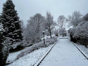 Chalets Chalet Pura Vida - En pleine nature, tout confort : photos des chambres