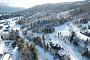 CR1 Top Rated Ski-In Ski-Out Townhome Great views fireplaces fast wifi AC - Short walk to slopes