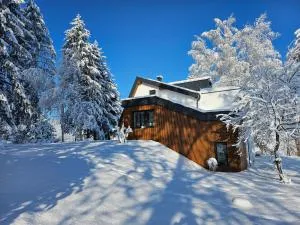 Kuća za odmor Šumska vila - Netretić