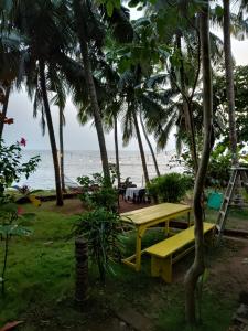 Perch by the sea