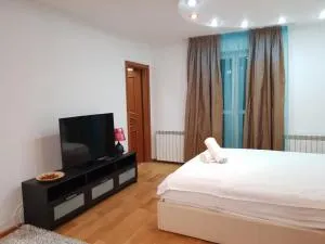 Open Space Apartment National Arena Monza - Colonişti