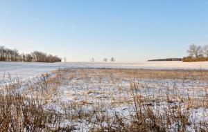 Nice Apartment In Otterup With Wifi