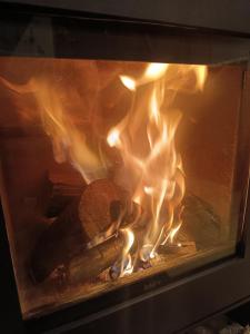 Le Mont Céleste dogs friendly