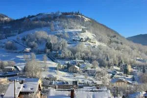 Appartement confortable à Cornimont 30 m² vue montagne - 科尔尼蒙