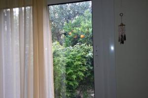 Small House with Garden