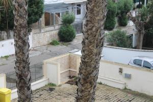 Casa dei Pini - Baia Verde