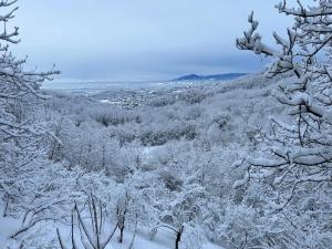 “Bear Hill” Apartments