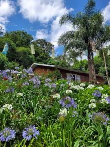 Casa de campo em Carlos Barbosa - Serra Gaúcha