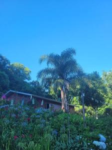 Casa de campo em Carlos Barbosa - Serra Gaúcha