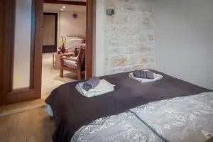 Apartment in stone Villa for two with a shared pool - 罗维尼村