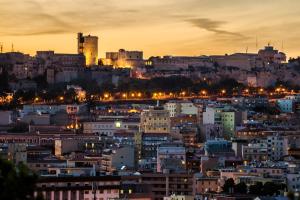 Il Gallo Bianco img51