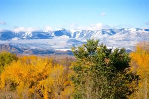 Peach Valley Retreat