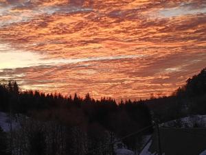 Bieszczadzka Dolina u Magdy