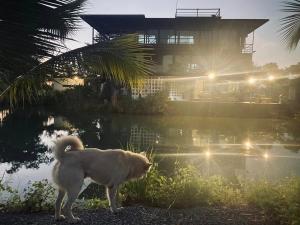 Little Farm Nakonnayok M