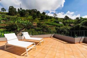 Apartment 1BR Hills over Ponta do Sol, sea view