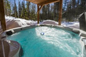 Pine Tree Lodge - Région Mont Tremblant - Laurentides