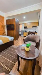 Badri Homes, Studio Apartment - Jawlakhel