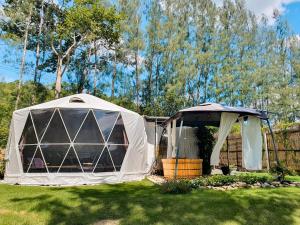 ไวน์แคมป์ WineCamp โดมติดลำธาร