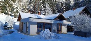 House Apartma Čebela with jacuzzi