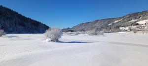 House Apartma Čebela with jacuzzi