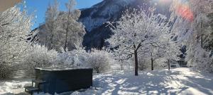 House Apartma Čebela with jacuzzi