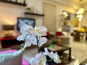 Family Staycation Suite near Sunway and Petaling Jaya