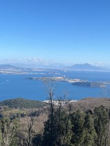 Poggio Aragosta Hotel & Spa