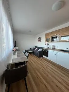 Apartmán Roda2 Malé Lipno - Eggetschlag