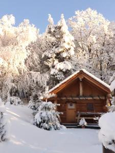 Hut at the forest 