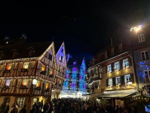 Maisons de vacances Maison proche du centre de Colmar - Chez Michel : photos des chambres