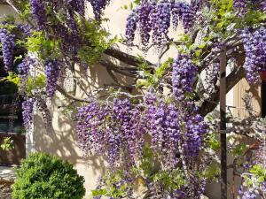 Maisons de vacances Cherche Midi : photos des chambres