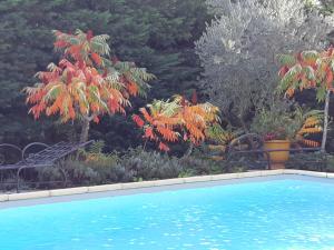 Maisons de vacances Cherche Midi : photos des chambres