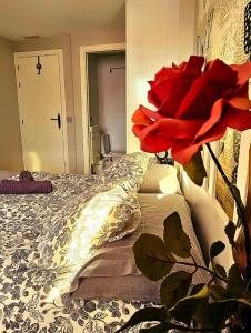 AdriVA Fuente Dorada-Plaza Mayor, Wifi Atico