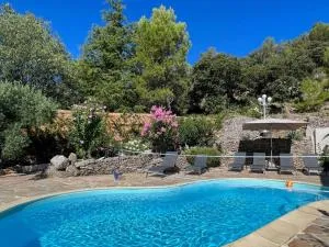 Villa in the South of France with heated pool - Goudargues