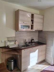 Villa Zvončica, Apartman ViN