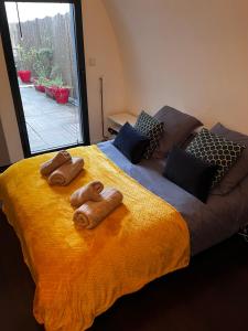 Appartements Magnifique loft 130m2 Le Mans : photos des chambres