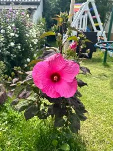 Ferienwohnung am Elberadweg - Luko