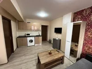Solaria Apartment - Azaclău