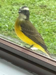 Cabañas Areno Lodge