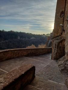 Il nido sulla terrazza